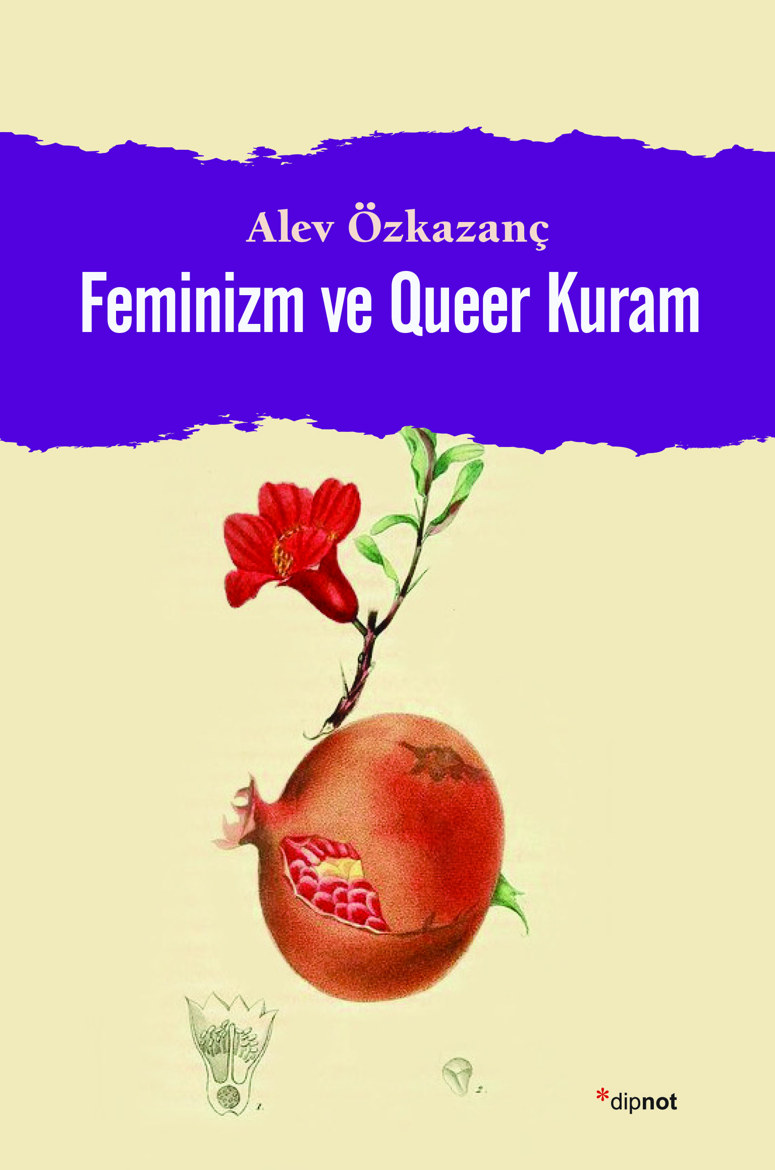 Feminizm ve Queer Kuram